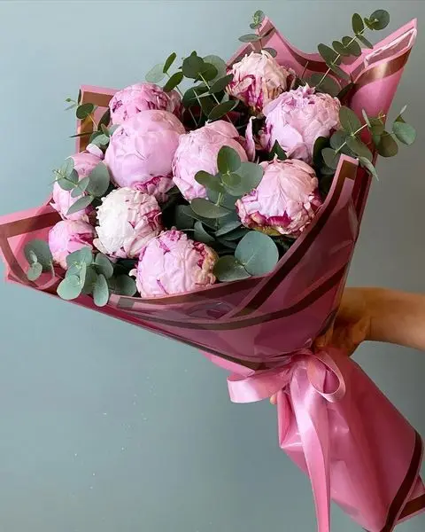 Kucak Dolusu Pembe Şakayık